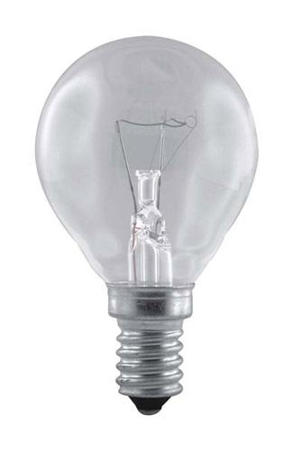 BULB-1016.jpg