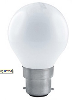 BULB-1021.jpg